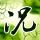 艺术人生